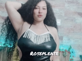 Rosepleate