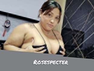 rosespecter Ochranne Siete