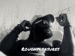 Roughpleasures