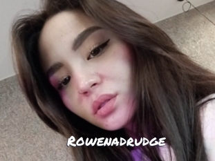 rowenadrudge Ochranne Siete