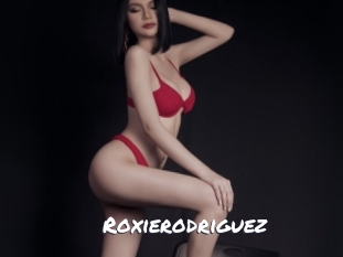 roxierodriguez Ochranne Siete