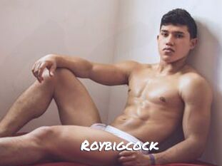 Roybigcock