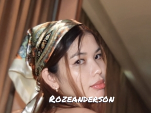 rozeanderson Ochranne Siete