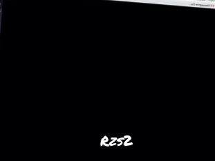 Rzs2