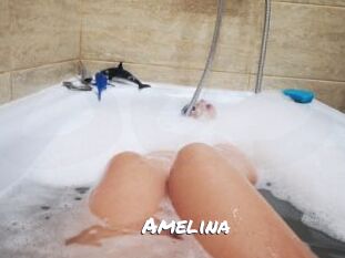 Amelina Ochranne Siete
