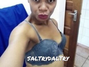 SALTRYDALTRY Ochranne Siete