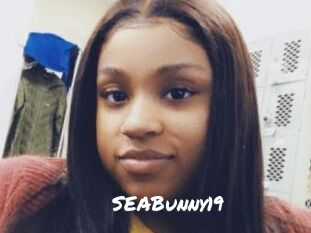 SEABunny19