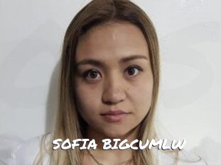 SOFIA_BIGCUMLW