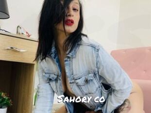 Sahory_co