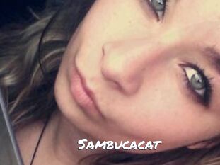 Sambucacat
