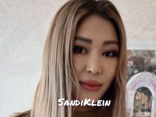 SandiKlein