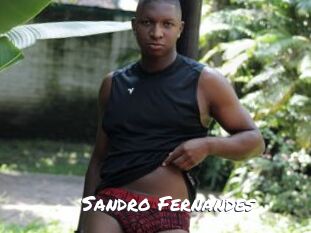 Sandro_Fernandes