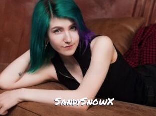 SandySnowX