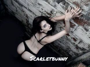 Scarletbunny