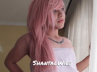 ShantalWild Ochranne Siete