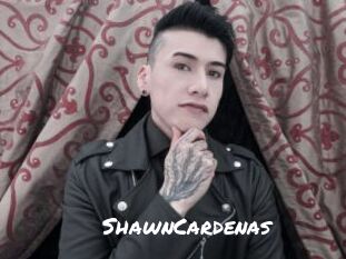 ShawnCardenas