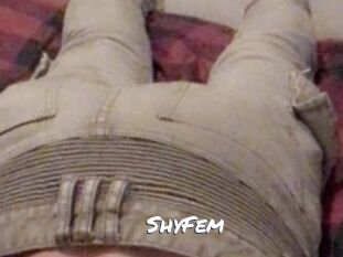 ShyFem