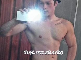 ShyLittleBoy20