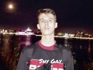 Shy_Gay