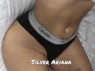 Silver_Ariana Ochranne Siete