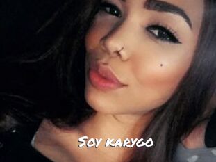 Soy_karygo