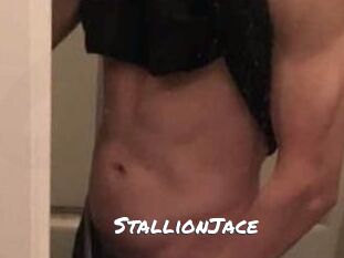 StallionJace