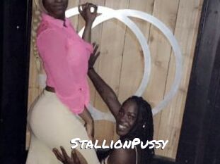 StallionPussy
