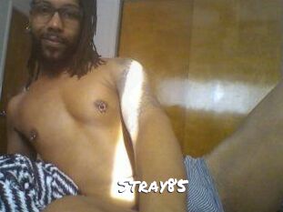 Stray85