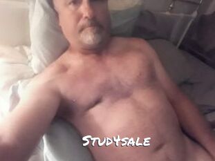 Stud4sale
