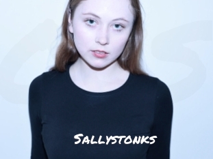sallystonks Ochranne Siete