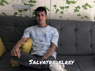 Salvatredelrey