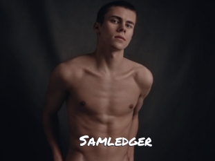 Samledger