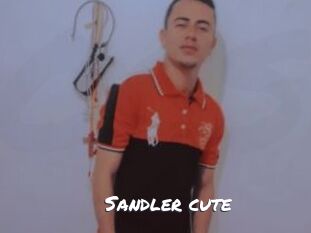 Sandler_cute