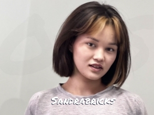 Sandrabricks