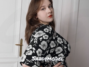 Sandymodel