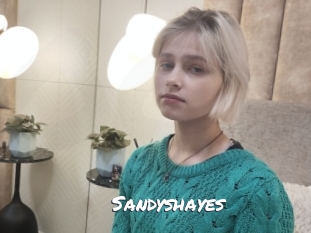 Sandyshayes