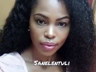 Sanelentuli