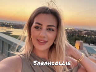 sarahcollie Ochranne Siete