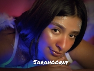 sarahoorny Ochranne Siete