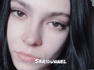 Saridunnel