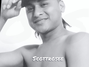 Scottrosee