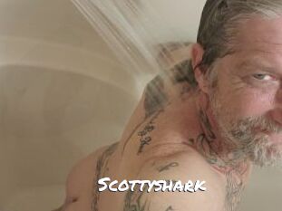 Scottyshark