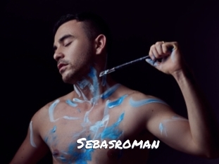sebasroman Ochranne Siete