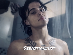 sebastianjust Ochranne Siete