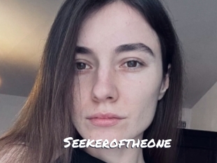 Seekeroftheone
