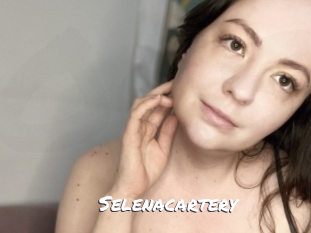 Selenacartery