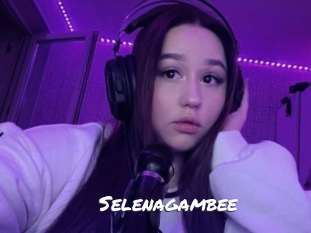 Selenagambee