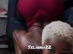selinah22 Ochranne Siete