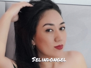 selindongel Ochranne Siete
