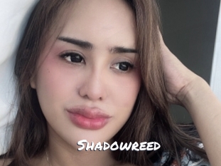 Shadowreed